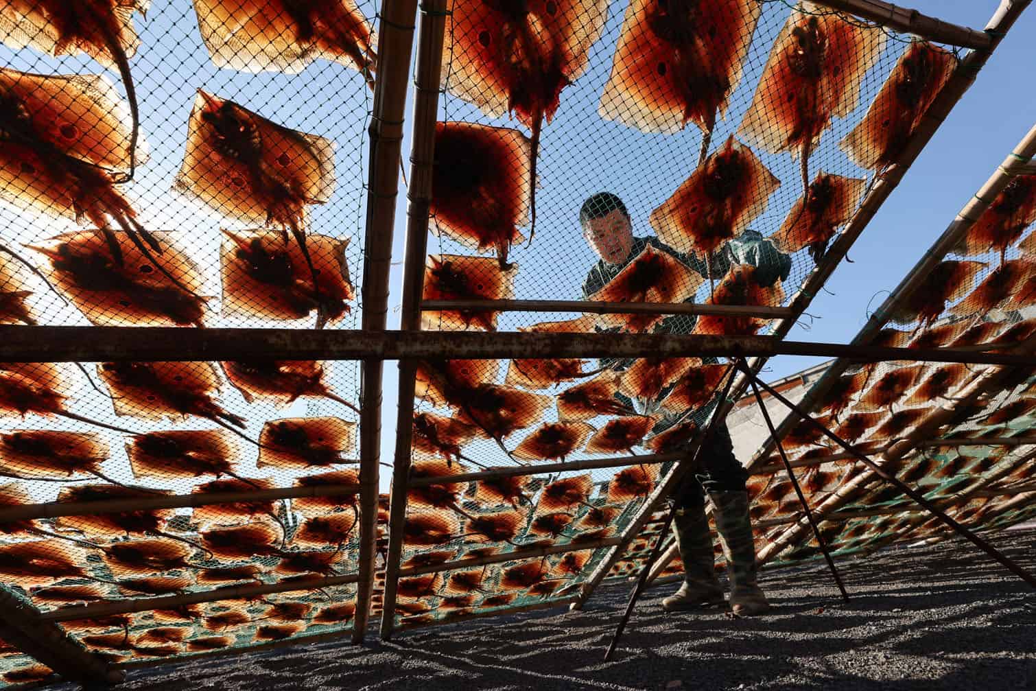 A man dries rays in Lianyungang