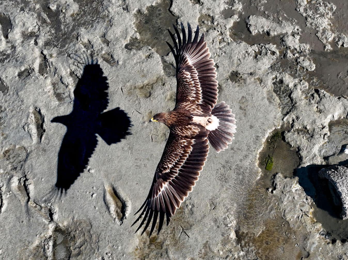 Siena Drone Photo Awards