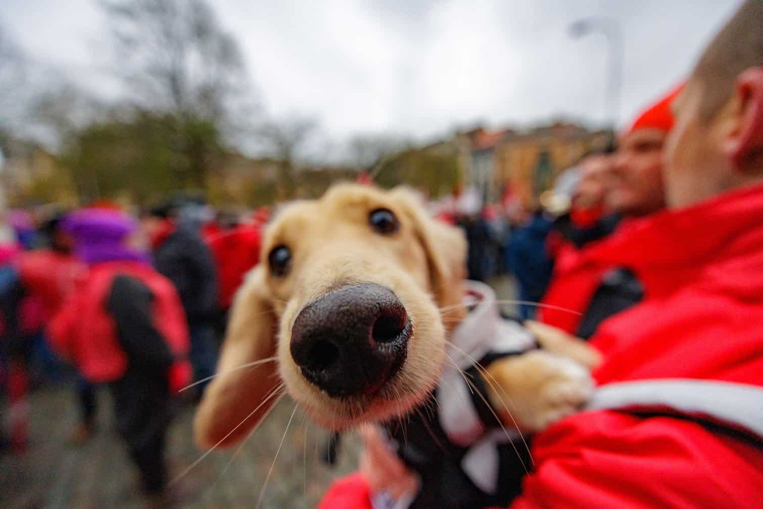 National demonstration by the Mirabal platform against gender-based violence in Brussels