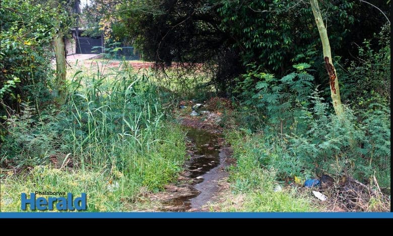 The passage is not only used by residents but also as a hideout by criminals.