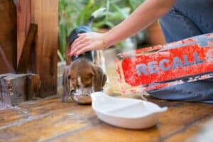 Major pet food brands pulled from shelves in SA.