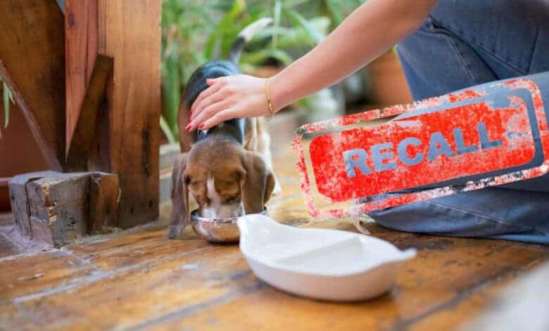 Major pet food brands pulled from shelves in SA.