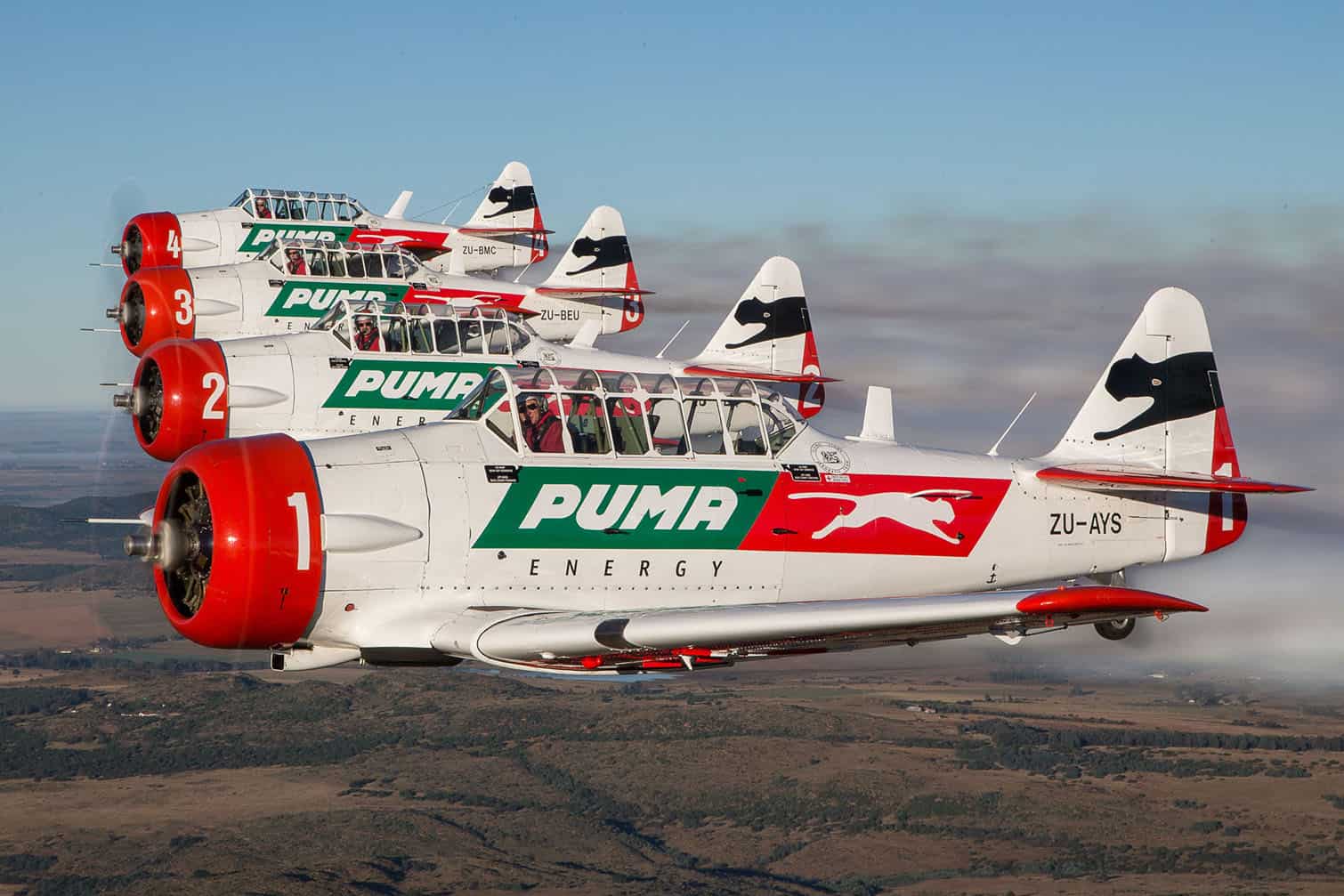 The Puma Flying Lions Harvard Aerobatic Display Team