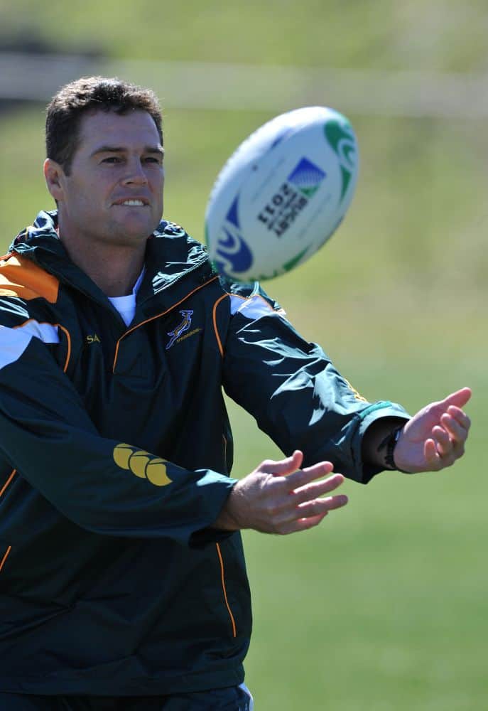 Rassie Erasmus Springboks