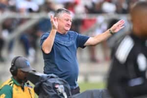 Stellenbosch FC announce Gavin Hunt's appointment