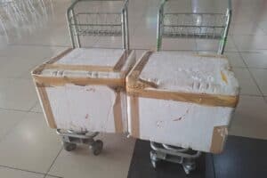 BMA stops illegal animal medicines at Polokwane Airport