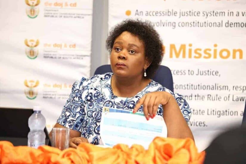 Minister Kubayi Madlanga commission witnesses