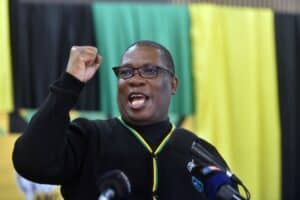 Panyaza Lesufi ANC Gauteng