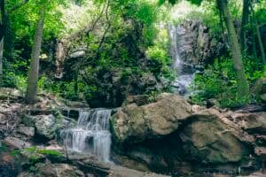 Reviving Joburg starts with The Wilds