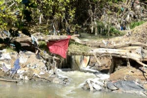 WaterCan warn that river E.coli levels are at high levels nationally.