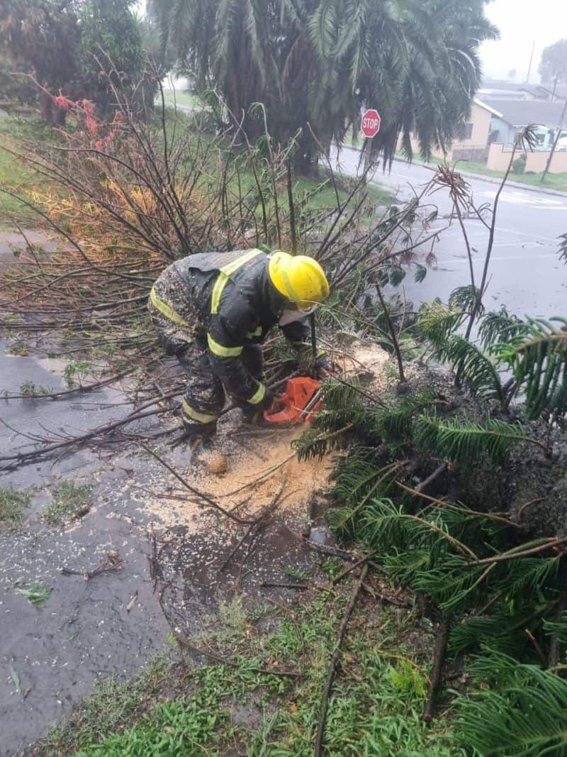 
Disaster management teams have been deployed to clear roads after the floods in KZN's South Coast on Sunday night. Picture: Facebook/Ugu District Municipality