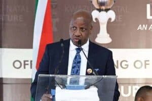 'I see no reason why this government cannot survive future motions,' says KZN premier