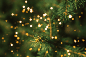 Let's think of others this Christmas