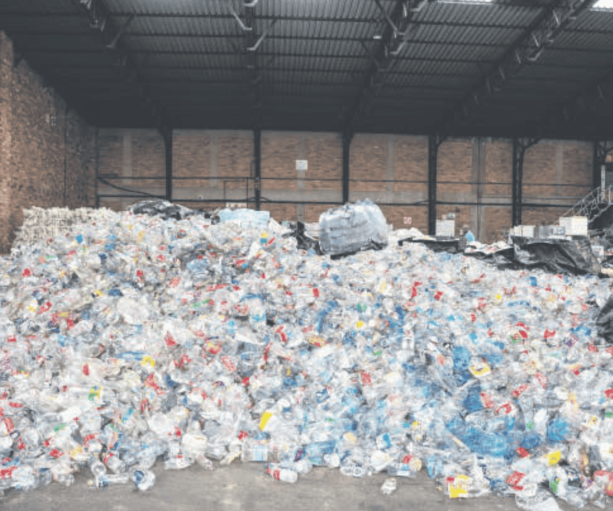 Joburg reclaimers turn festive waste into economic power