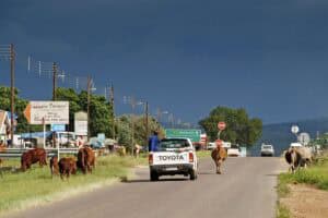 Waterberg municipality no revenue administration Limpopo