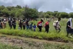 WATCH: SANDF intercepts over 1 000 undocumented foreign nationals at border in Limpopo
