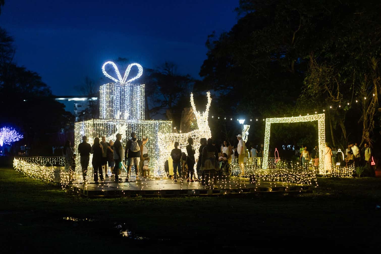 The Durban Botanic Gardens Trail