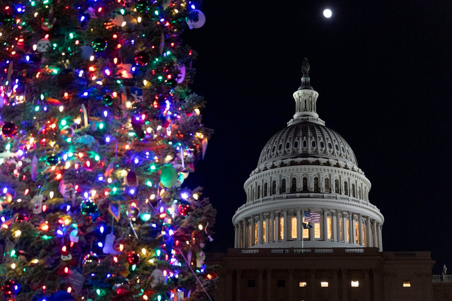 US Capitol Christmas Tree Lighting Ceremony