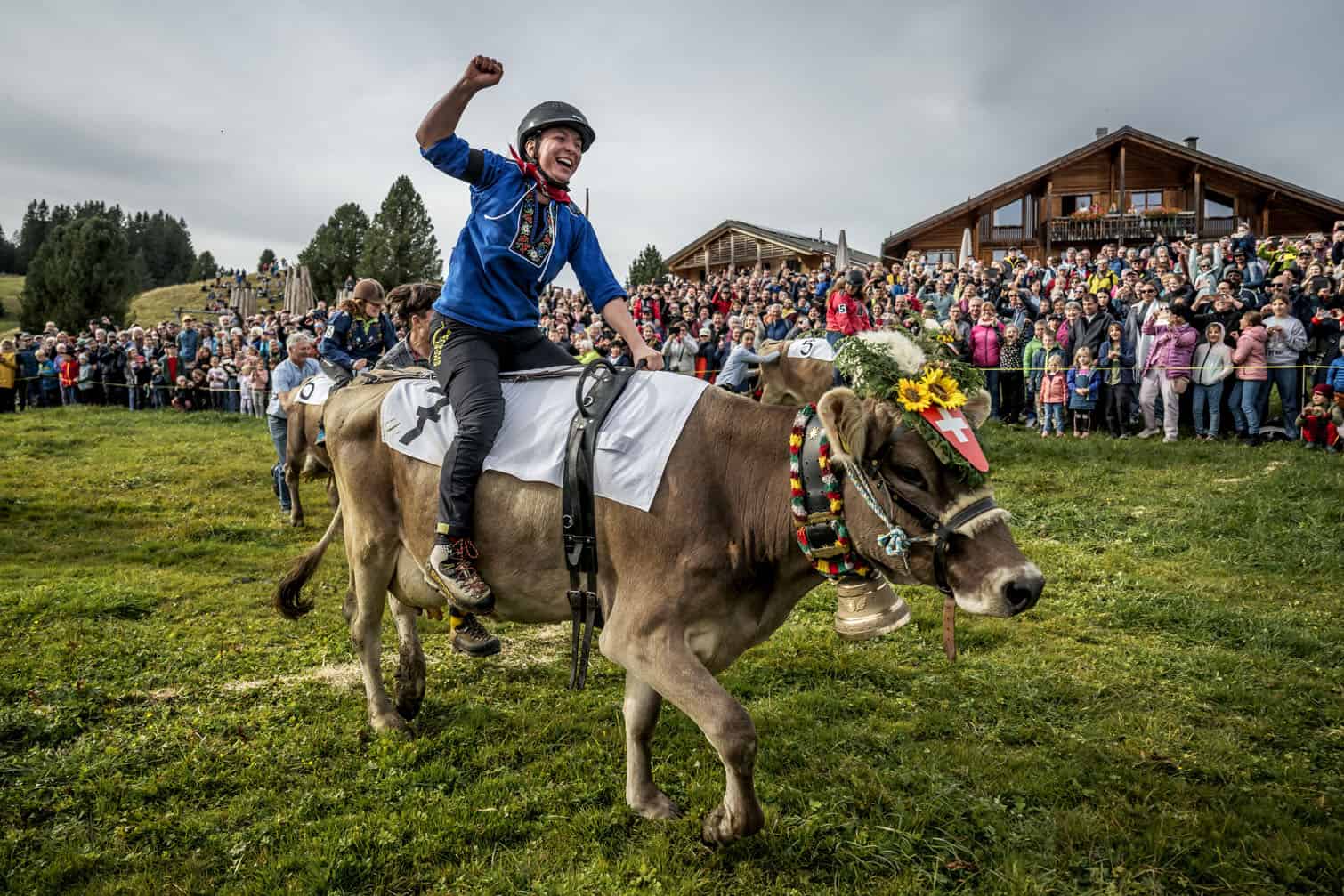 Lea Werner riding Viola, celebrates after winning the Cow Race Grand Prix