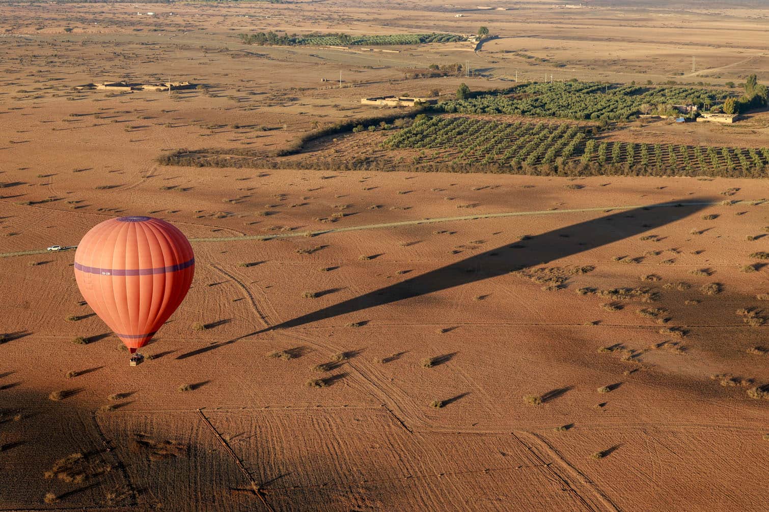 A hot air balloon flies over the Haouz plain