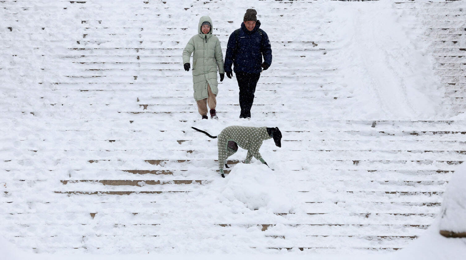 People walk with their dog in the snow