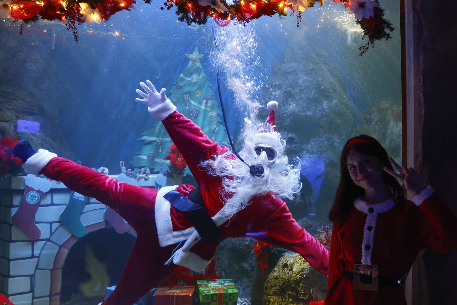 Chirstmas celebration with a diving Santa Claus at Guadalajara Zoo in Mexico