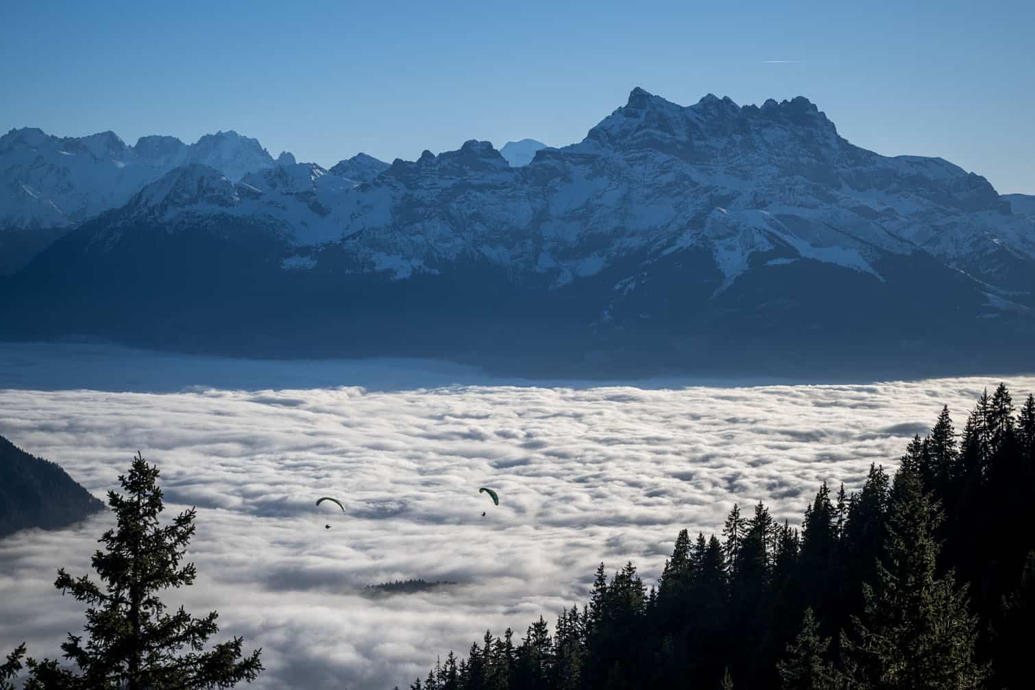 Paragliders soar above a sea of fog