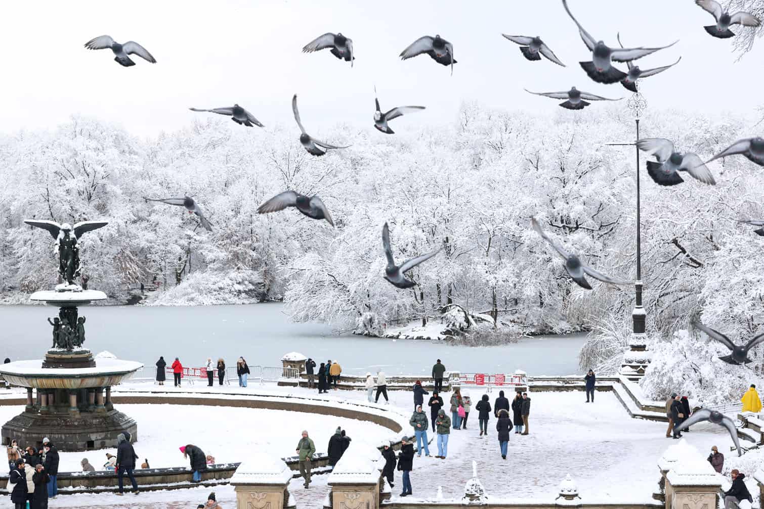 Pigeons fly over people on a snow day