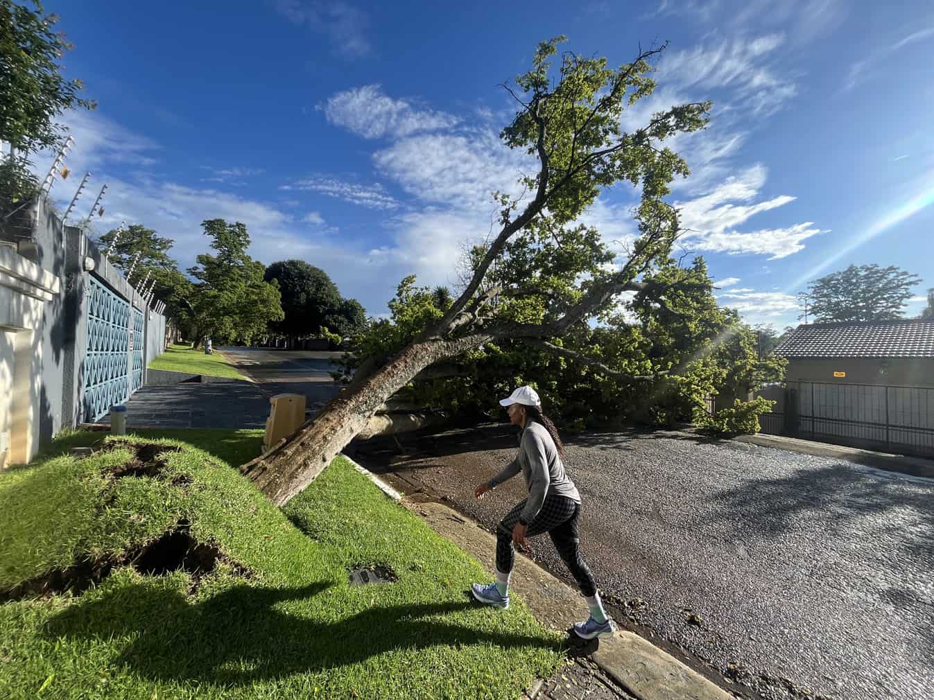 A runner makes her way past a fallen tree