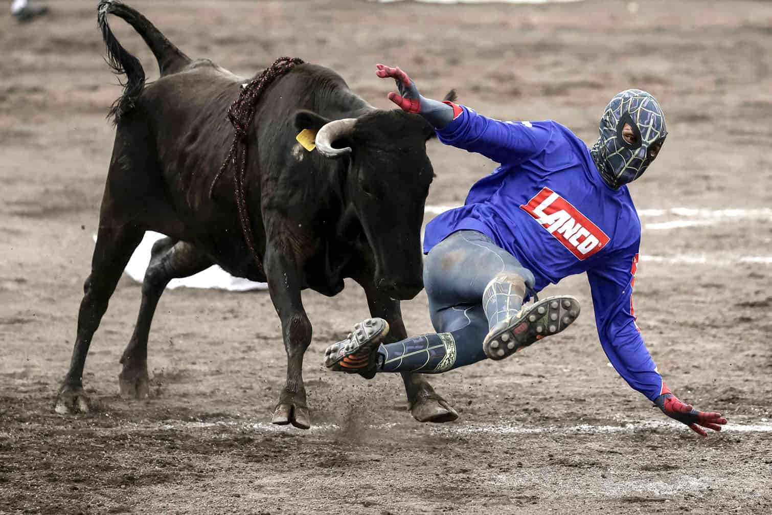 Costa Rica's Zapote festivities underway for the 2025-2026 season