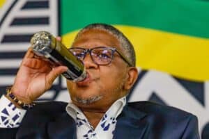 ANC Johannesburg ballot papers Fikile Mbalula police raid