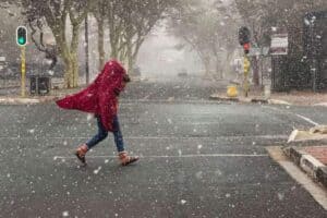 Cold winter forecast debated after extreme summer weather