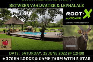 Consumer Tribunal on auctioneer