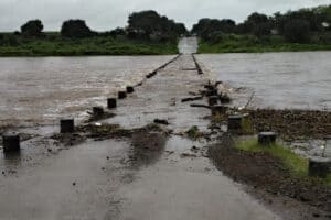 Kruger National Park flooding videos