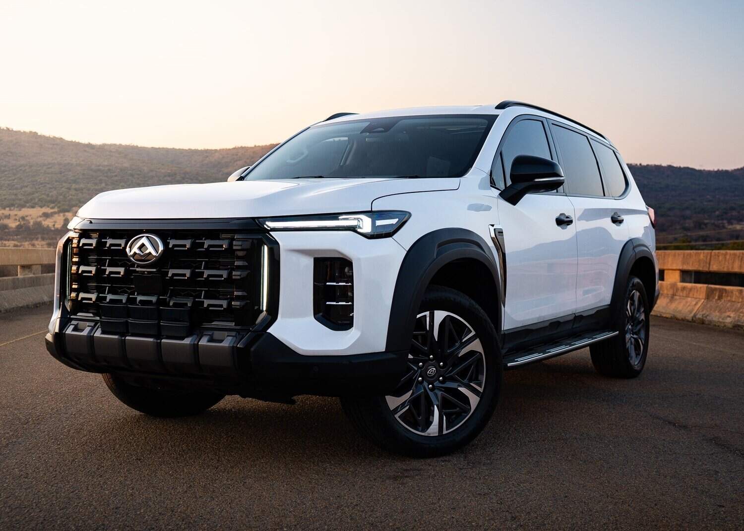 LDV's first batch of Terron 9 and D90s arrive in South Africa