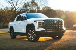 LDV's first batch of Terron 9 and D90s arrive in South Africa