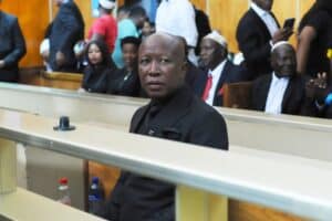 Julius Malema sentencing