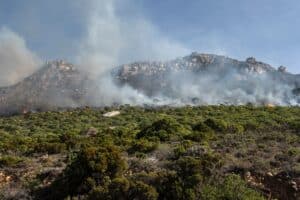 Western Cape veld fires