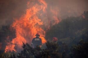 Western Cape veld fires Eskom cable theft