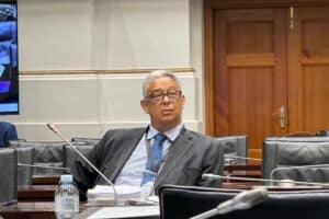 McBride SSA Mkhwanazi ad hoc committee