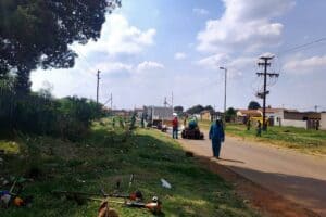 Heatwave and heavy rains take toll on Johannesburg City Parks and Zoo services