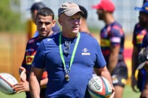 Stormers director of rugby John Dobson