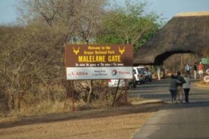 Silver lining to storm clouds in the Kruger National Park