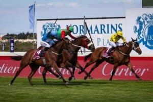 L'Ormarins racing day at Kenilworth