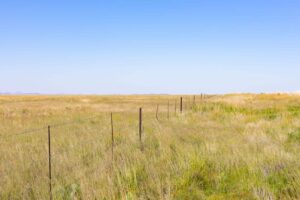 Contralesa deny King's claim to authority. King Letsitsa III Seka Moloi