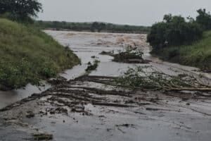 Kruger National Park update 16 January