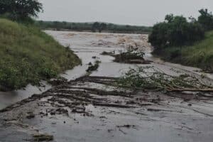 ICYMI 16 January 2026