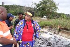 Minister of Water and Sanitation visits Knysna amid water crisis