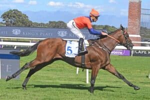 Gavin Lerena and One Stripe.