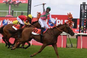 See It Again Cape Town Met Andrew Fortune